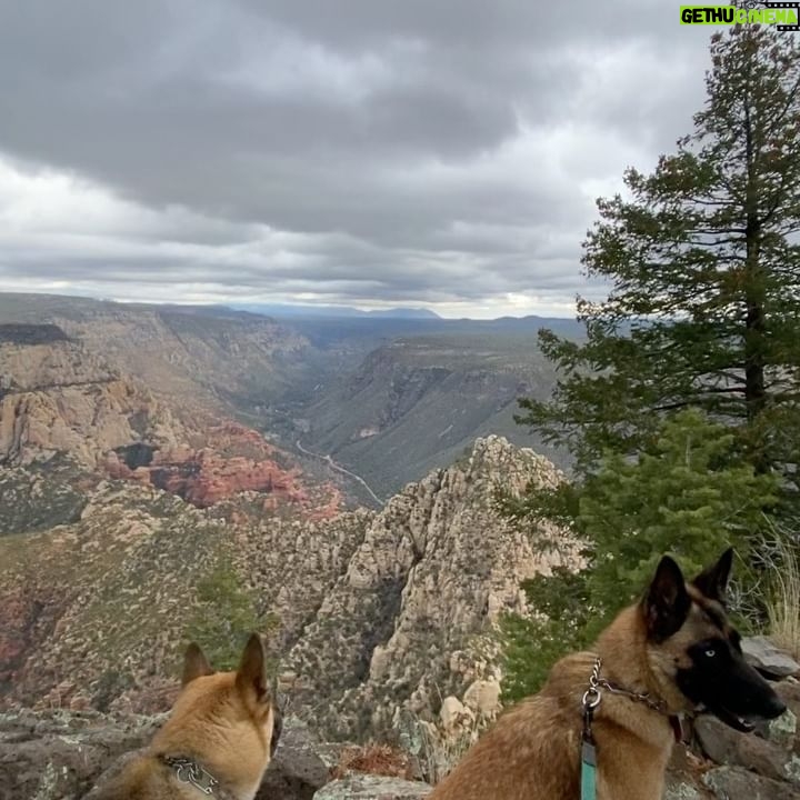 Aspen Ladd Instagram - Iβve been Loving It in #sedona ποΈ I decided to climb up the highest point in the immediate area for some epic views today . With my three amigos πππof course. We summited something called #mountwilson then explored beyond that for 11.5 miles of hiking/ jogging up then running down ( as fast as the rocky and steep trail would allow. It was epic π #exploresedona #explorearizona #hikearizona