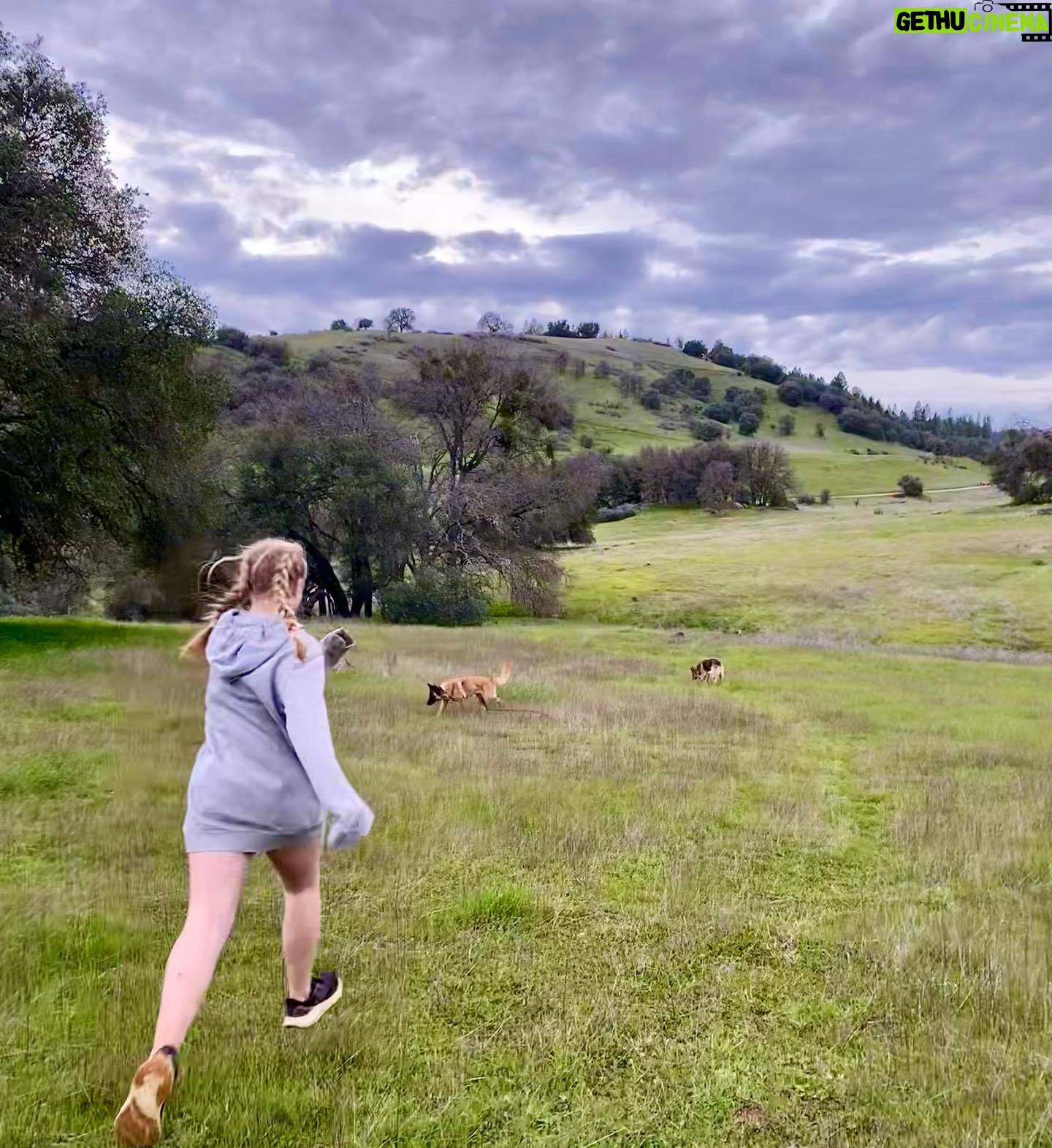 Aspen Ladd Instagram - Flat tires , looking for a lost malinois ( not mine !!!) , 10 miles and a real good day 🙂👹🐕🏃♀️