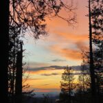 Aspen Ladd Instagram - A beautiful 8 mile loop near my home. It’s always crazy to me when I see people out solo hiking or running. No dogs no other people, headphones in …just livin on hope 😂 For example, just tonight in 8 miles my dogs alerted that there was some kind of predator near by on 5 separate occasions. Could be anything from a coyote to a bear 🐻 I never know until I find prints of scat . 2 weeks ago it was a cougar. How do I know it’s a predatory animal, you may ask? Easy , my dogs spend so much time out in the mountains with me that I know based on their different reactions. None of them really care about prey animals like deer or rabbits for example. Those are fun but not exciting for them . Anyways just random thoughts, especially since last week a man was killed by a cougar not too far from where I live.