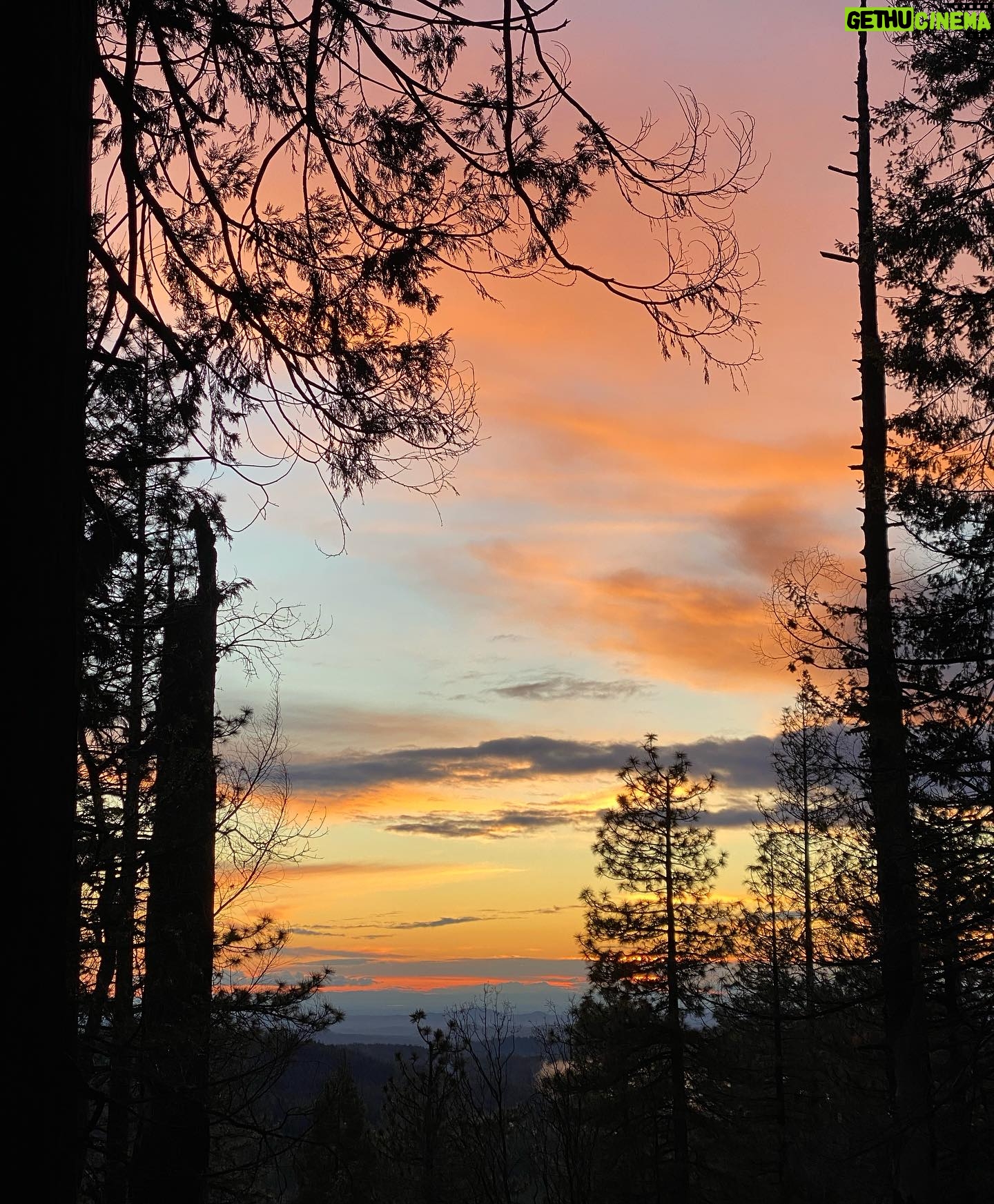 Aspen Ladd Instagram - A beautiful 8 mile loop near my home. It’s always crazy to me when I see people out solo hiking or running. No dogs no other people, headphones in …just livin on hope 😂 For example, just tonight in 8 miles my dogs alerted that there was some kind of predator near by on 5 separate occasions. Could be anything from a coyote to a bear 🐻 I never know until I find prints of scat . 2 weeks ago it was a cougar. How do I know it’s a predatory animal, you may ask? Easy , my dogs spend so much time out in the mountains with me that I know based on their different reactions. None of them really care about prey animals like deer or rabbits for example. Those are fun but not exciting for them . Anyways just random thoughts, especially since last week a man was killed by a cougar not too far from where I live.