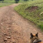 Aspen Ladd Instagram - Flat tires , looking for a lost malinois ( not mine !!!) , 10 miles and a real good day 🙂👹🐕🏃‍♀️