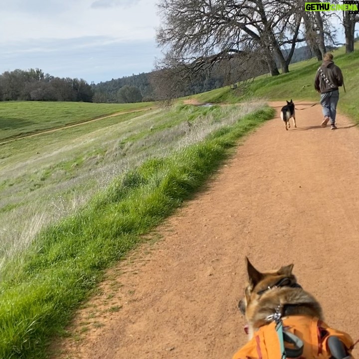 Aspen Ladd Instagram - Flat tires , looking for a lost malinois ( not mine !!!) , 10 miles and a real good day 🙂👹🐕🏃♀️