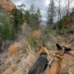 Aspen Ladd Instagram - I’ve been Loving It in #sedona 🏜️ I decided to climb up the highest point in the immediate area for some epic views today . With my three amigos 🐕🐕🐕of course. We summited something called #mountwilson then explored beyond that for 11.5 miles of hiking/ jogging up then running down ( as fast as the rocky and steep trail would allow. It was epic 🙂 #exploresedona #explorearizona #hikearizona