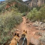 Aspen Ladd Instagram - I’ve been Loving It in #sedona 🏜️ I decided to climb up the highest point in the immediate area for some epic views today . With my three amigos 🐕🐕🐕of course. We summited something called #mountwilson then explored beyond that for 11.5 miles of hiking/ jogging up then running down ( as fast as the rocky and steep trail would allow. It was epic 🙂 #exploresedona #explorearizona #hikearizona