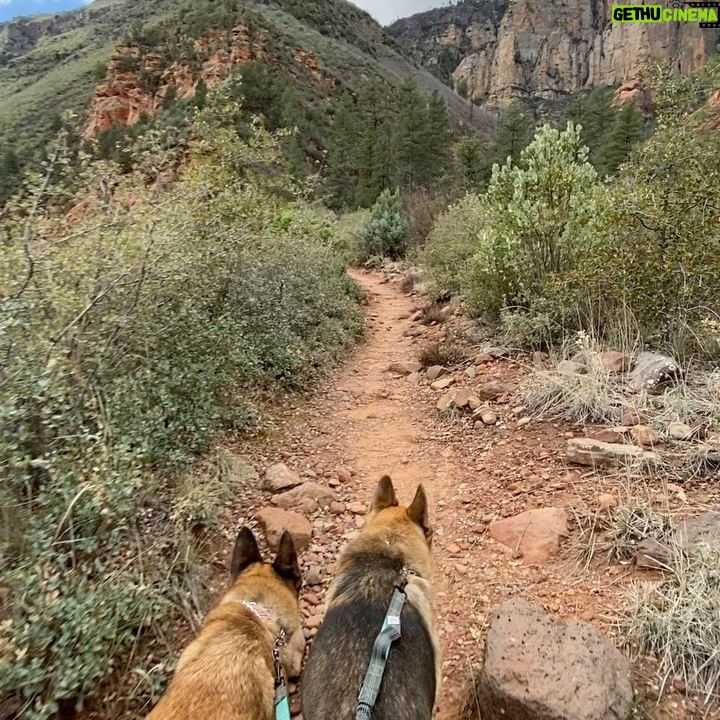 Aspen Ladd Instagram - Iβve been Loving It in #sedona ποΈ I decided to climb up the highest point in the immediate area for some epic views today . With my three amigos πππof course. We summited something called #mountwilson then explored beyond that for 11.5 miles of hiking/ jogging up then running down ( as fast as the rocky and steep trail would allow. It was epic π #exploresedona #explorearizona #hikearizona