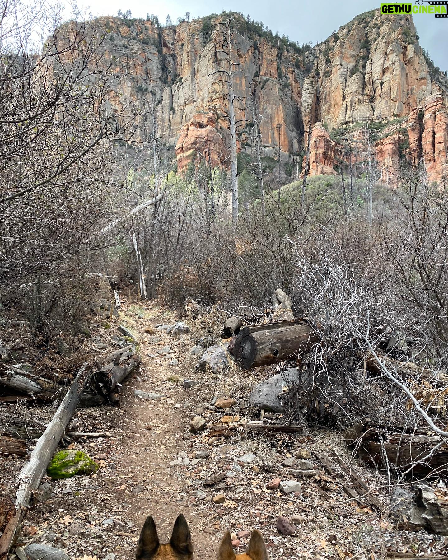 Aspen Ladd Instagram - Iβve been Loving It in #sedona ποΈ I decided to climb up the highest point in the immediate area for some epic views today . With my three amigos πππof course. We summited something called #mountwilson then explored beyond that for 11.5 miles of hiking/ jogging up then running down ( as fast as the rocky and steep trail would allow. It was epic π #exploresedona #explorearizona #hikearizona