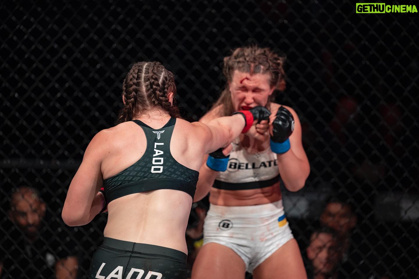 Aspen Ladd Instagram - The very definition of a MMA fight 👊🏻 gotta be ready in all aspects with the cardio to back it @bellatormma @pflmma