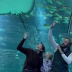 Astrid Coppens Instagram – Yay wij zijn naar het grootste aquarium van Europa geweest @planetenausicaa #nausicaa #destinationocean #ocean #aquarium echt de moeite 🐟🐠🐡🦈 en hotelletje vlak erbij was ideaal! @evancyfr #Evancy #advertentie