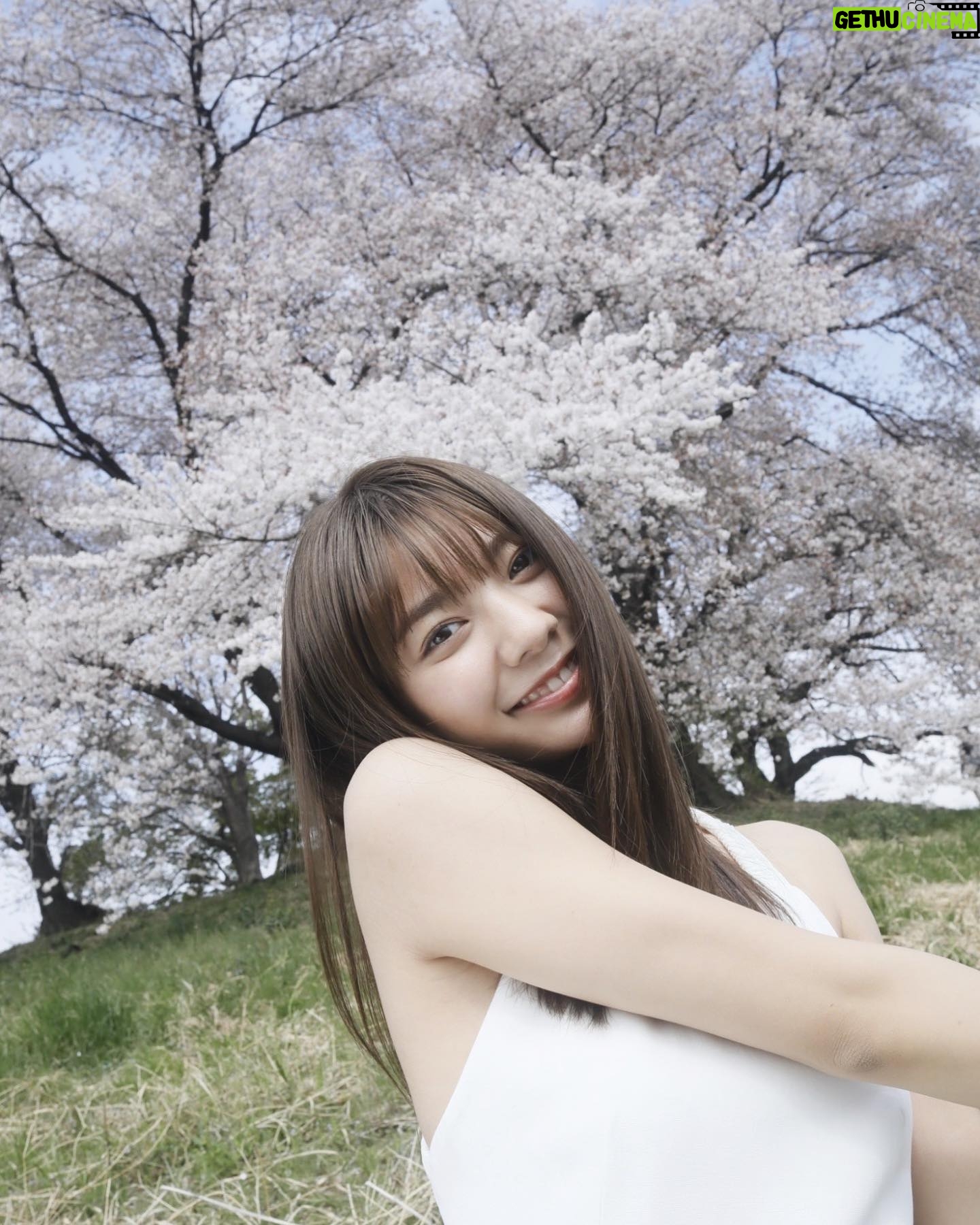 Asuka Kawazu Instagram - 桜も咲き始めて 少しずつ暖かくなってますねっ 去年の写真集のときの~