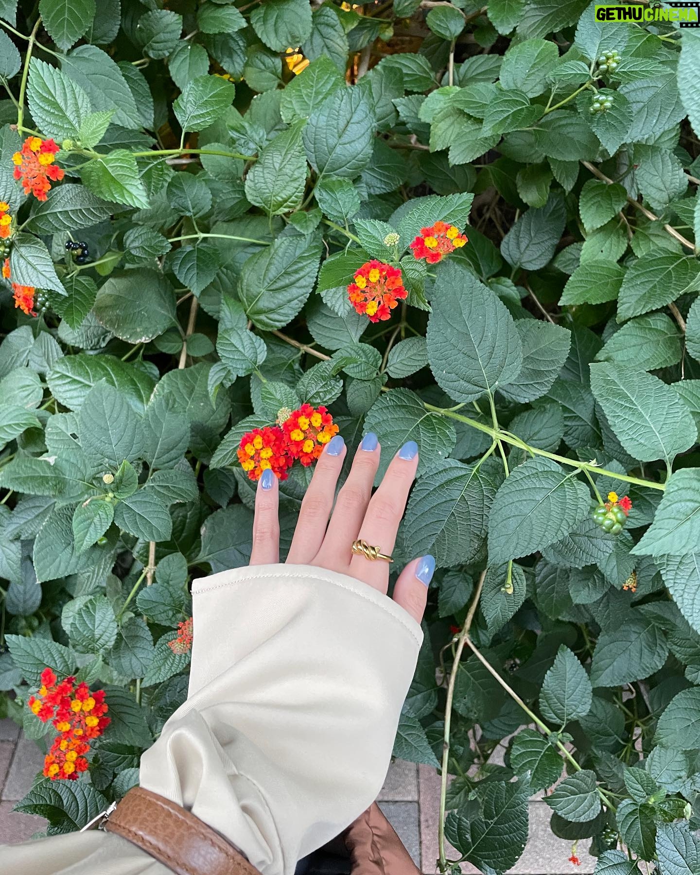 Asuka Kawazu Instagram - アニメにハマりました☺︎ 皆さんおすすめありますか? 王道系は結構観たなあ... 暗いものが好きかも
