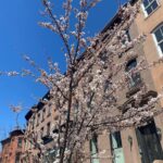 Athena Karkanis Instagram – Spring glorious spring!! After that looooong dark winter it’s especially rejuvenating! Happy Easter 🐰🐣🐇 !