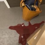 Athena Karkanis Instagram - I swear It’s not what it looks like 😬 😱 applecarrotginerbeet juice gone wrong 😑
