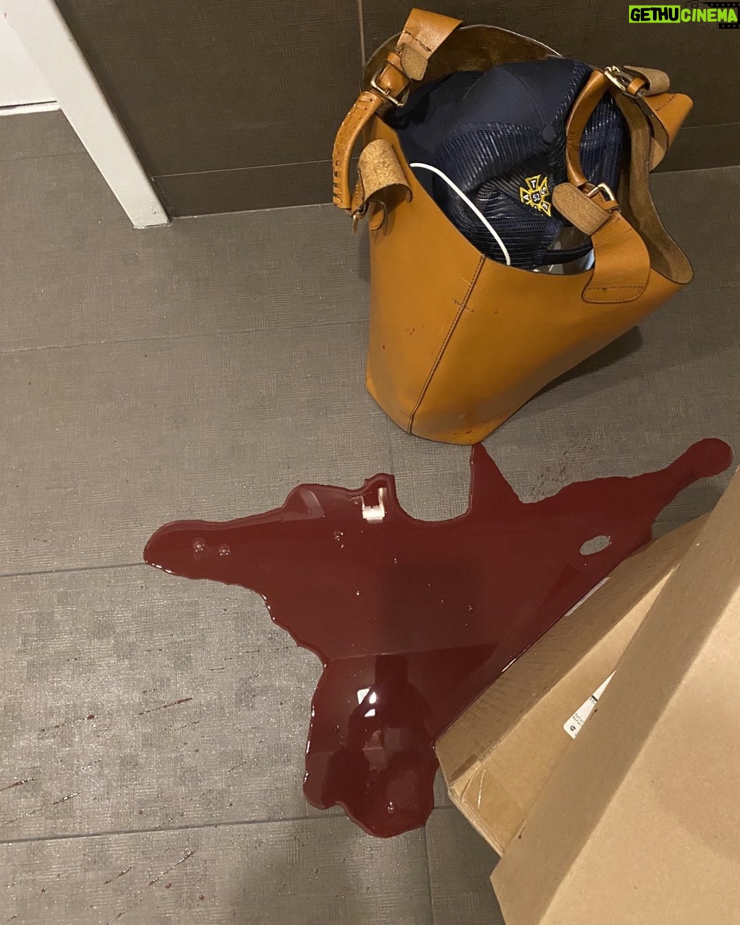 Athena Karkanis Instagram - I swear Itβs not what it looks like π¬ π± applecarrotginerbeet juice gone wrong π