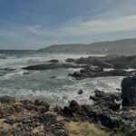 Athena Karkanis Instagram – Stanford Valley and Hermanus, also known as as the place I live in my dream life 😍