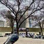 Athena Karkanis Instagram – Maverick or Misanthrope?