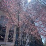 Athena Karkanis Instagram – Spring glorious spring!! After that looooong dark winter it’s especially rejuvenating! Happy Easter 🐰🐣🐇 !
