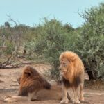 Athena Karkanis Instagram - …And safari