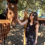 Aubrey K. Miller Instagram – Happy World Vegan Day!! Live with compassion towards all! ♥️ #Vegan #AnimalLover #PlantBased