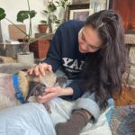 Audra McDonald Instagram – After a lovely day filled with a cheeseburger and fries, hanging out in his bed next to a cozy fire, and lots of snuggles and love, Sweet Butler Elizabeth Eggfartson passed peacefully over the rainbow bridge today surrounded by his family who loved him so very much.Our hearts are broken. He was such a good boy. We will miss him forever. #ButlertheTailWaggingDoggy 💔🐕🌈❤️