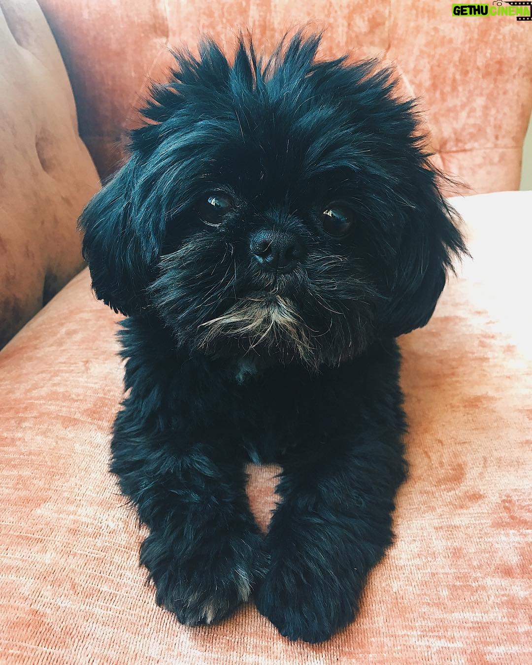 Audrey Esparza Instagram - #labordayweekend