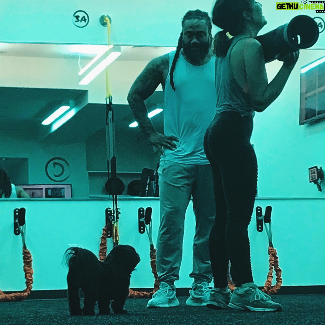 Audrey Esparza Instagram - Polito is very serious about his summer bod @yourtrainercorey @beastfitnyc