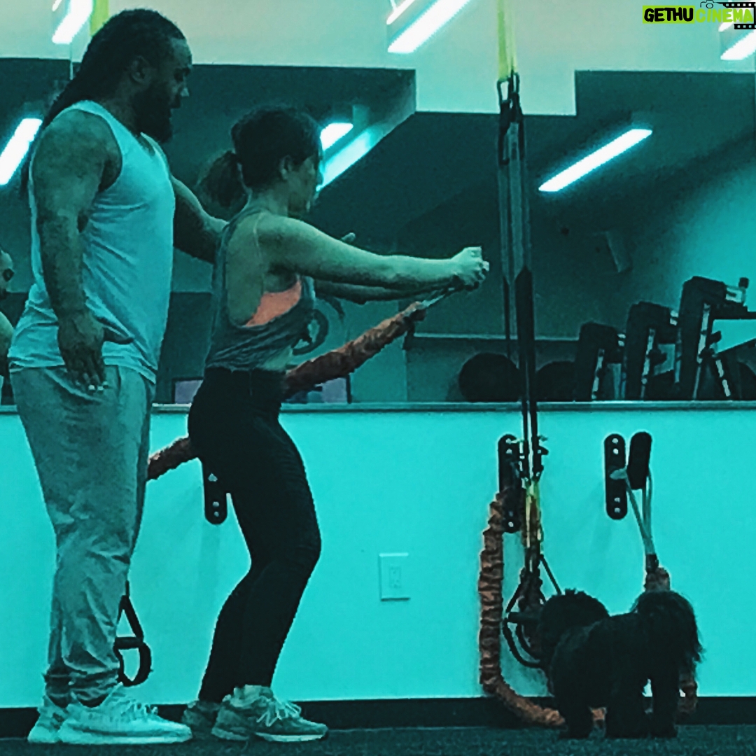 Audrey Esparza Instagram - Polito is very serious about his summer bod @yourtrainercorey @beastfitnyc