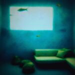 August Kamp Instagram - blue 2of3