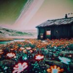 August Kamp Instagram - exoplanetary cottage studies - born from a complicated mix of feelings embedded within cottage-core and adjacent colonial-derivative aesthetics - compartmentalizing dreams of expanding human colonization to strictly UNowned and UNinhabited worlds - "Trailblazing Without Trampling since 2843"