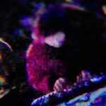 August Kamp Instagram - (sound) just me playing synth in the garden. the only ai here is what apple is already hiding in your camera. I just turned it … kinda .. up…