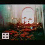 August Kamp Instagram - anomaly botanical studies