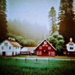 August Kamp Instagram - green 1/3