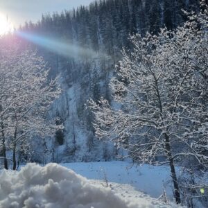 Aurélie Vaneck Instagram - Nous avons commencé l'année sur le toit du monde, aux pieds du parc national du Mercantour, isolés dans un chalet digne d'un film de Noël, loin de l'agitation et des réseaux, à écouter la neige tomber, guetter les biches et savourer le temps suspendu... 

Je ne prendrai pas de bonne résolution cette année, car je suis bien incapable de les tenir. Mais je formule le vœux de ralentir, de poser un pied devant l'autre et de savourer chaque instant. 

Mon Homme dit que nous avons 10 billes à répartir librement entre passé, présent et avenir. Si tu places la majorité de tes billes sur "hier" ou "demain", tu passes à côté de ton présent, seul espace qui existe, finalement. Si tu places tout sur aujourd'hui,  difficile de construire, ou d'utiliser ton expérience pour grandir... Alors je formule le souhait de placer 1 bille sur "hier", 2 sur "demain" et les 7 autres sur la case "présent". 

Je vous souhaite de répartir vos billes à l'image de la vie dont vous rêvez, et d'en savourer chaque instant. 

#bonneannée