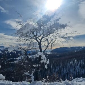 Aurélie Vaneck Instagram - Nous avons commencé l'année sur le toit du monde, aux pieds du parc national du Mercantour, isolés dans un chalet digne d'un film de Noël, loin de l'agitation et des réseaux, à écouter la neige tomber, guetter les biches et savourer le temps suspendu... 

Je ne prendrai pas de bonne résolution cette année, car je suis bien incapable de les tenir. Mais je formule le vœux de ralentir, de poser un pied devant l'autre et de savourer chaque instant. 

Mon Homme dit que nous avons 10 billes à répartir librement entre passé, présent et avenir. Si tu places la majorité de tes billes sur "hier" ou "demain", tu passes à côté de ton présent, seul espace qui existe, finalement. Si tu places tout sur aujourd'hui,  difficile de construire, ou d'utiliser ton expérience pour grandir... Alors je formule le souhait de placer 1 bille sur "hier", 2 sur "demain" et les 7 autres sur la case "présent". 

Je vous souhaite de répartir vos billes à l'image de la vie dont vous rêvez, et d'en savourer chaque instant. 

#bonneannée