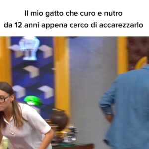 Aurora Leone Instagram - Numero 1 strategia per evitare di ridere a LOL: diventare maratoneti

@primevideoit #lolchirideèfuori #lol4it