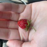 Ava Capri Instagram - Be Real? No thanks
