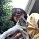 Ava Capri Instagram - I’ve been taking my space to grieve but I thought I should share, a few nights ago I lost my best friend and the world lost a legend. Grieving my best friend of 16 years has been extremely difficult but I am at peace knowing she lived an incredibly full life and was so deeply beloved by all who knew her. Rest easy my perfect girl, the embodiment of unconditional love, my Gub 💔 I’ll catch you on the other side