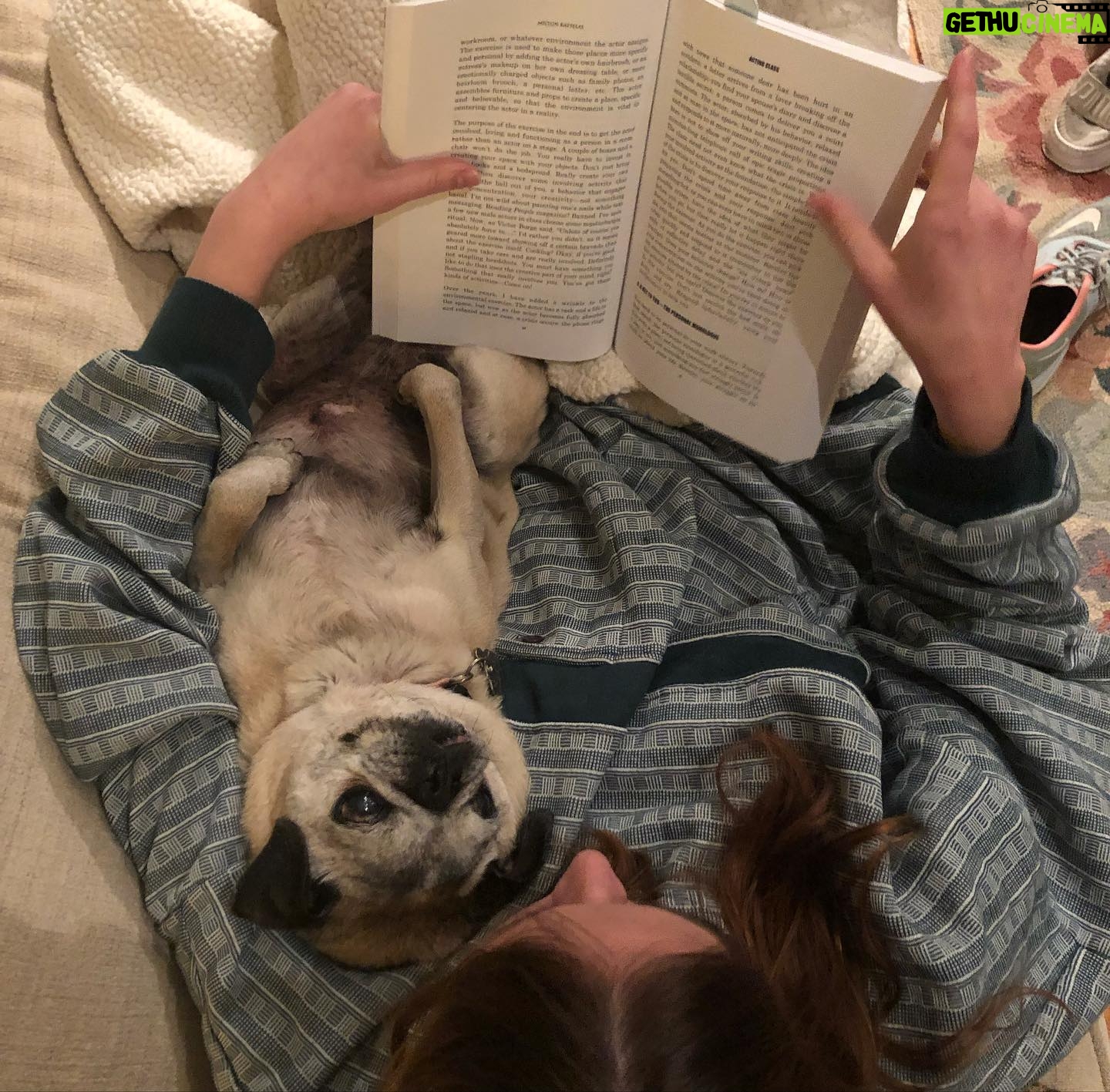 Ava Capri Instagram - I’ve been taking my space to grieve but I thought I should share, a few nights ago I lost my best friend and the world lost a legend. Grieving my best friend of 16 years has been extremely difficult but I am at peace knowing she lived an incredibly full life and was so deeply beloved by all who knew her. Rest easy my perfect girl, the embodiment of unconditional love, my Gub 💔 I’ll catch you on the other side