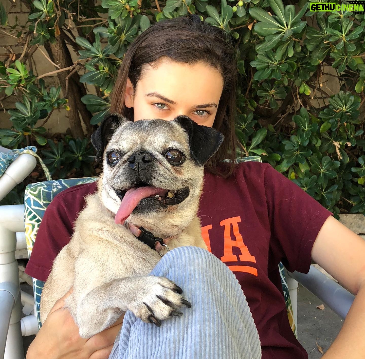 Ava Capri Instagram - I’ve been taking my space to grieve but I thought I should share, a few nights ago I lost my best friend and the world lost a legend. Grieving my best friend of 16 years has been extremely difficult but I am at peace knowing she lived an incredibly full life and was so deeply beloved by all who knew her. Rest easy my perfect girl, the embodiment of unconditional love, my Gub 💔 I’ll catch you on the other side