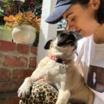 Ava Capri Instagram - I’ve been taking my space to grieve but I thought I should share, a few nights ago I lost my best friend and the world lost a legend. Grieving my best friend of 16 years has been extremely difficult but I am at peace knowing she lived an incredibly full life and was so deeply beloved by all who knew her. Rest easy my perfect girl, the embodiment of unconditional love, my Gub 💔 I’ll catch you on the other side