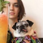Ava Capri Instagram - I’ve been taking my space to grieve but I thought I should share, a few nights ago I lost my best friend and the world lost a legend. Grieving my best friend of 16 years has been extremely difficult but I am at peace knowing she lived an incredibly full life and was so deeply beloved by all who knew her. Rest easy my perfect girl, the embodiment of unconditional love, my Gub 💔 I’ll catch you on the other side