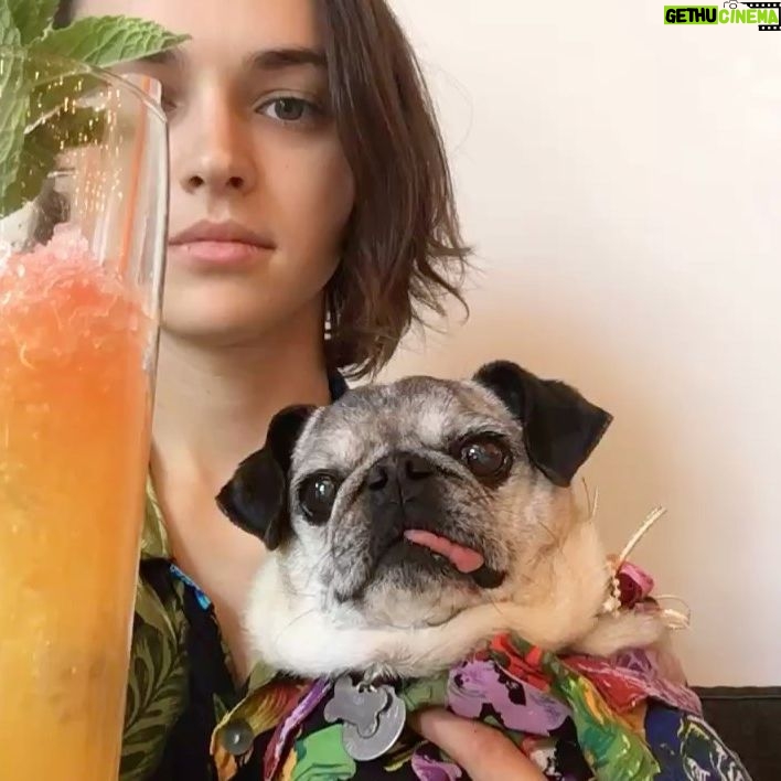 Ava Capri Instagram - I’ve been taking my space to grieve but I thought I should share, a few nights ago I lost my best friend and the world lost a legend. Grieving my best friend of 16 years has been extremely difficult but I am at peace knowing she lived an incredibly full life and was so deeply beloved by all who knew her. Rest easy my perfect girl, the embodiment of unconditional love, my Gub 💔 I’ll catch you on the other side