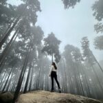 Avantika Dasani Instagram – When you get knocked down remember to look up