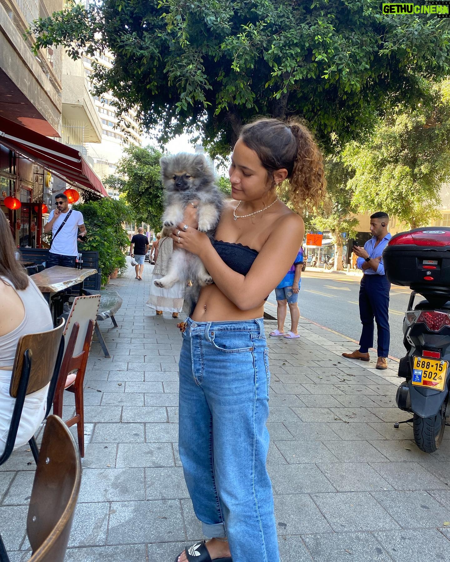 Aviv Buchler - 2.7K Likes - 🦁