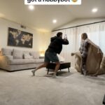 Avori Henderson Instagram - The dog enjoyed it 🤣🤣🤣 #glambot #relationshiphumor #couplescomedy #funnycouple #meme #memes #memesdaily #funnyreels #relatable #funnymemes #funny #funnyvideos