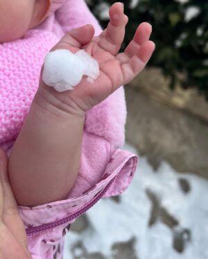 Ayça Erturan Instagram - İlk “Nova” tanesi karla buluştu 💫 ❄️ 🥲 @novakirca #novakırca #87günlük #supernova