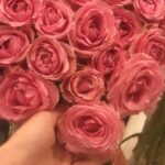 Ayşe Hatun Önal Instagram - Pembe gönlüm sende pjuhahaa:))