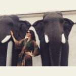 Ayşe Hatun Önal Instagram - May your heart be like an elephant 🐘