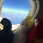 Ayşe Hatun Önal Instagram -