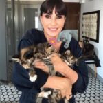 Ayşegül Aldinç Instagram – Bu yazıyı yazmak için çok düşündüm.
Laf yermiyim diye bi tırstım!
ilk satırlarımda böyle bir gizem mayası  kabartma nedenim meraklanıp devamını okuyasınız diye!
Bu tavrımla kendimi “Post’umu (ayı postu!) beğendiyseniz yorum yerine bi noktacık olsun koyunuz” yazan, “Vücüütümüzün neresine basarsak neremiz iyileşir?” yollu videolarını bizden esirgemeyen veya “Kapuskanızın bahar ferahlığında kokması için n’aapmalısınız?” şeklinde hayatlarımızı kolaylaştıriim derken “Hangi birini yapıcem?” diye kafakarış edip beynimizi sütlaca çevirip yanmasına neden olan (fırın sütlaç!) insan suretlerine indirgediğimin de farkındayım söylemesi mahçubiyet verici!
😌😌😌
Gelişme:
Bu hafta size İnstoş hesapları @aysegulunkedileri8 olan kedilerimden bahsediciim. 
Takip mahiyetinde biraz coşturalım istedim.
(A hiç işim olmaz diyenler için üst katta salonumuz mevcuttur!)
🐈🐈🐈
Dünyayı güzelleştirmek, insanoğluna mutluluk vermek için yaratılmış bu estetik varlıklar huy olarak birbirinden kar tanesi kadar apayrı. 
“Nolucak canım alt tarafı…” diye başlayan bir cümle kuramayacağınız tek canlı kedi bence.
Bir de sanılanın aksine sahibi kediyi değil, kedi sahibini seçiyor.
🐈🐈🐈
@aynuraydin cığımın sahiplendirdiği kız kedim delişmen Zuzu 
bir kuyruk güzeli; sanırsın pederi sincap!
Erkek kedim haşmetli Miu, kucaksevmez bir kedi.
Minder gibi bedenini bi o yana bi bu yana mayalanmış hamur misali yayan genç irisi Miu’nun kumaş emikleme huyu mevcut.
Lanolin maddesi ana sütünü anımsattığından annemin  kucağında, diz battaniyesini emikleyip duruyor.
İlişkimiz, ben hamle yapmasam sıfır!
Sanal bi kedi kendisi! 
📚📚📚
Bu arada üç hafta dolmadan kitabım için 2. baskı talebi geldi.
İlginize bin teşekkür. 🙏🏼🌹
Çoklu baskılara gelesice kitapçığımı kitapçınızdan ısrarla isteyiniz. 
Olmadı kitapçının önüne kendinizi zincirlen bağlayınız!😄😄😄
Bugün Dünya Kedi Günü. Hani biraz bulutlar dağılsın diye bizimkileri yaziim dedim.
Malûm sebepten dolayı Kediler Günü kutlu olamıyor.
ancak katil tutuklandığında bu mümkün olabilir!
Bu ve benzeri yaşam formlarından âzâde bir dünya dilerim.😌
Sakin hafta sonları…🌱🐈
#DünyaKedilerGünü
#kedi
#pazar
#malumatfuruş 
#ayşegülaldinç
#kitap
#ayşegülüngünlüğü