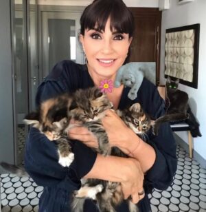Ayşegül Aldinç Instagram - Bu yazıyı yazmak için çok düşündüm.
Laf yermiyim diye bi tırstım!
ilk satırlarımda böyle bir gizem mayası  kabartma nedenim meraklanıp devamını okuyasınız diye!
Bu tavrımla kendimi “Post’umu (ayı postu!) beğendiyseniz yorum yerine bi noktacık olsun koyunuz” yazan, “Vücüütümüzün neresine basarsak neremiz iyileşir?” yollu videolarını bizden esirgemeyen veya “Kapuskanızın bahar ferahlığında kokması için n’aapmalısınız?” şeklinde hayatlarımızı kolaylaştıriim derken “Hangi birini yapıcem?” diye kafakarış edip beynimizi sütlaca çevirip yanmasına neden olan (fırın sütlaç!) insan suretlerine indirgediğimin de farkındayım söylemesi mahçubiyet verici!
😌😌😌
Gelişme:
Bu hafta size İnstoş hesapları @aysegulunkedileri8 olan kedilerimden bahsediciim. 
Takip mahiyetinde biraz coşturalım istedim.
(A hiç işim olmaz diyenler için üst katta salonumuz mevcuttur!)
🐈🐈🐈
Dünyayı güzelleştirmek, insanoğluna mutluluk vermek için yaratılmış bu estetik varlıklar huy olarak birbirinden kar tanesi kadar apayrı. 
“Nolucak canım alt tarafı…” diye başlayan bir cümle kuramayacağınız tek canlı kedi bence.
Bir de sanılanın aksine sahibi kediyi değil, kedi sahibini seçiyor.
🐈🐈🐈
@aynuraydin cığımın sahiplendirdiği kız kedim delişmen Zuzu 
bir kuyruk güzeli; sanırsın pederi sincap!
Erkek kedim haşmetli Miu, kucaksevmez bir kedi.
Minder gibi bedenini bi o yana bi bu yana mayalanmış hamur misali yayan genç irisi Miu’nun kumaş emikleme huyu mevcut.
Lanolin maddesi ana sütünü anımsattığından annemin  kucağında, diz battaniyesini emikleyip duruyor.
İlişkimiz, ben hamle yapmasam sıfır!
Sanal bi kedi kendisi! 
📚📚📚
Bu arada üç hafta dolmadan kitabım için 2. baskı talebi geldi.
İlginize bin teşekkür. 🙏🏼🌹
Çoklu baskılara gelesice kitapçığımı kitapçınızdan ısrarla isteyiniz. 
Olmadı kitapçının önüne kendinizi zincirlen bağlayınız!😄😄😄
Bugün Dünya Kedi Günü. Hani biraz bulutlar dağılsın diye bizimkileri yaziim dedim.
Malûm sebepten dolayı Kediler Günü kutlu olamıyor.
ancak katil tutuklandığında bu mümkün olabilir!
Bu ve benzeri yaşam formlarından âzâde bir dünya dilerim.😌
Sakin hafta sonları…🌱🐈
#DünyaKedilerGünü
#kedi
#pazar
#malumatfuruş 
#ayşegülaldinç
#kitap
#ayşegülüngünlüğü
